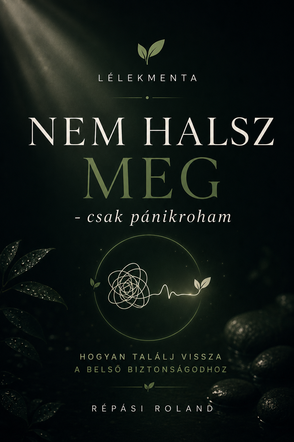 NEM HALSZ MEG - csak pánikroham E-book